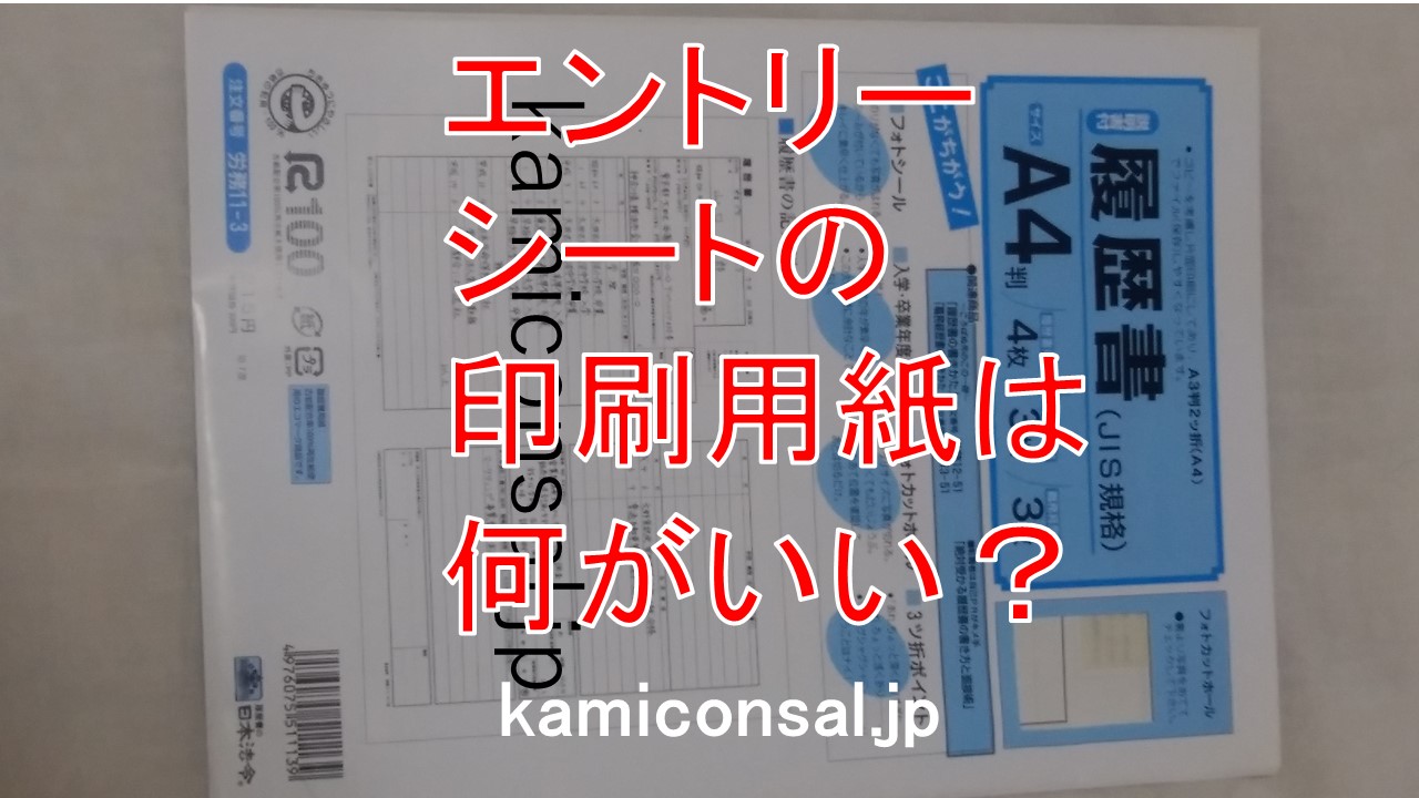 正規激安 日本法令 エントリーシート ES 印刷用紙セット 労務11-80